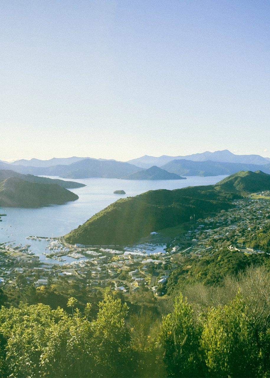 Picton view from hilltop